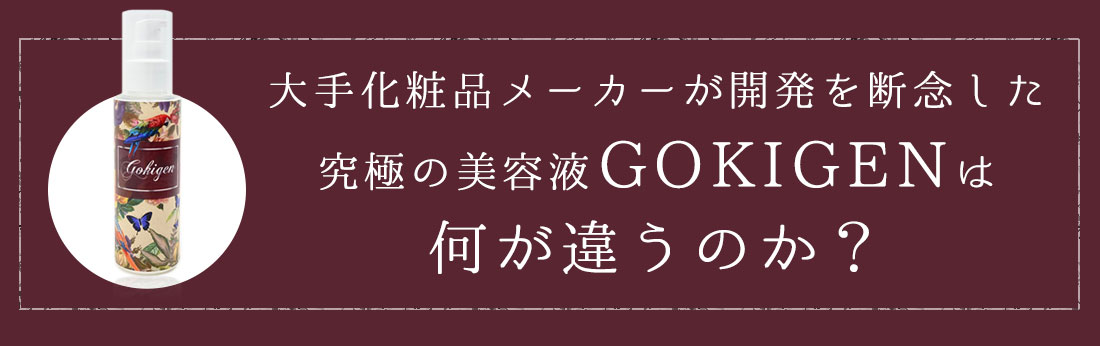 GOKIGENは何が違うのか？